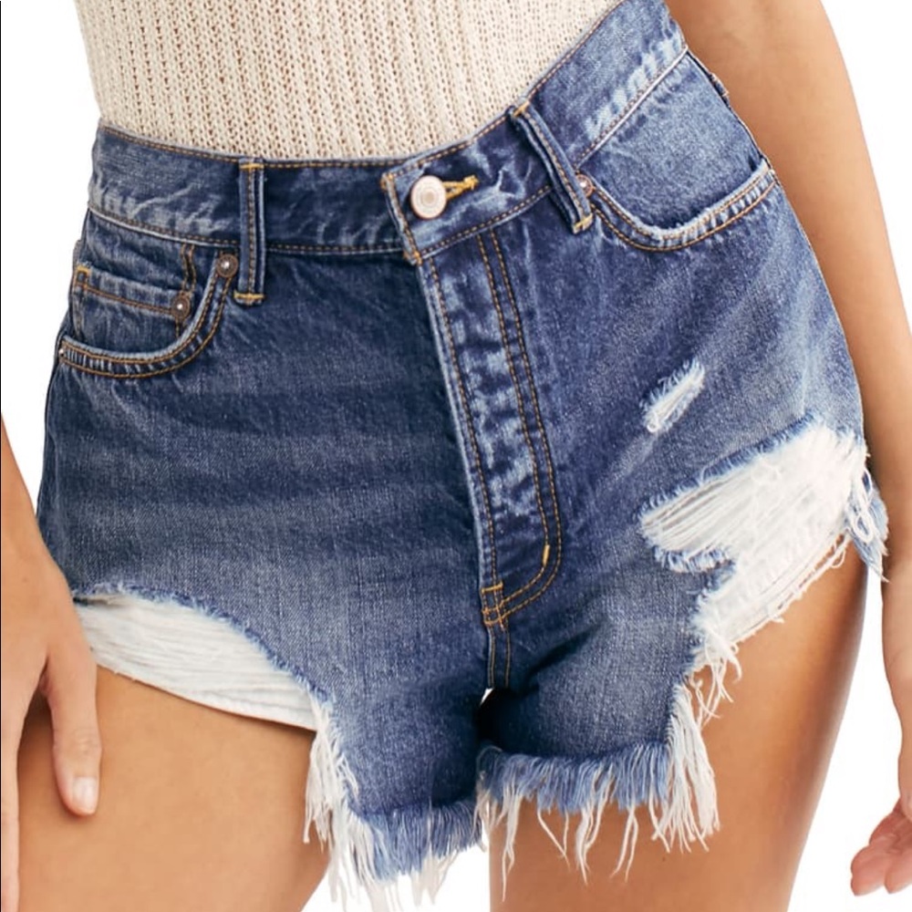 NWT Free People Loving Good Vibrations Shorts (24)